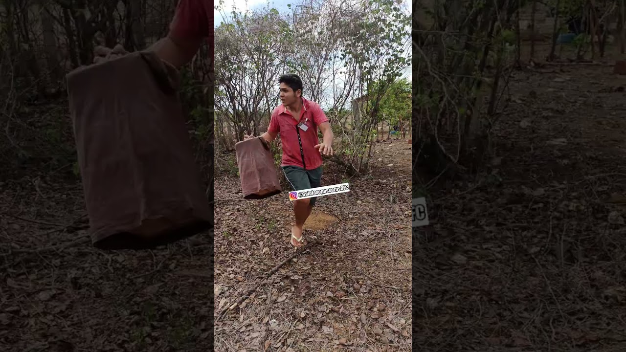 QUANDO A CAMPEADA DA ERRADO! 😂🤣 # Shorts #campeada