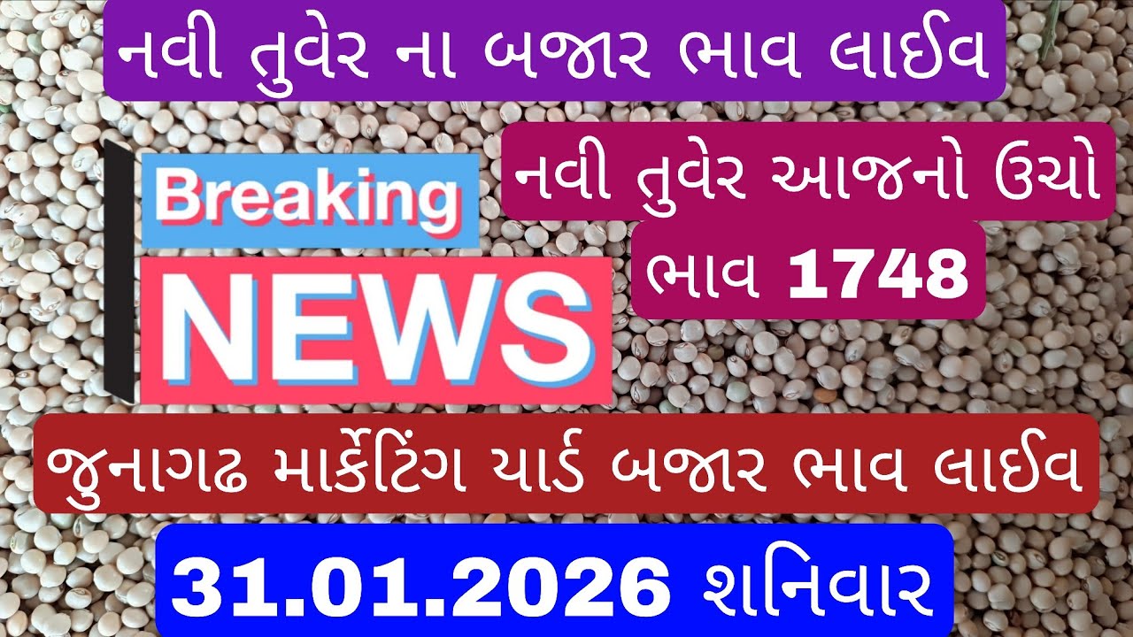 નવી તુવેર ના શ્રી ગણેશ જુનાગઢ માર્કેટિંગ યાર્ડ ૩૧.૦૧.૨૦૨૬. #મગફળીનાભાવ #mungfali #મગફળી #soyabean 