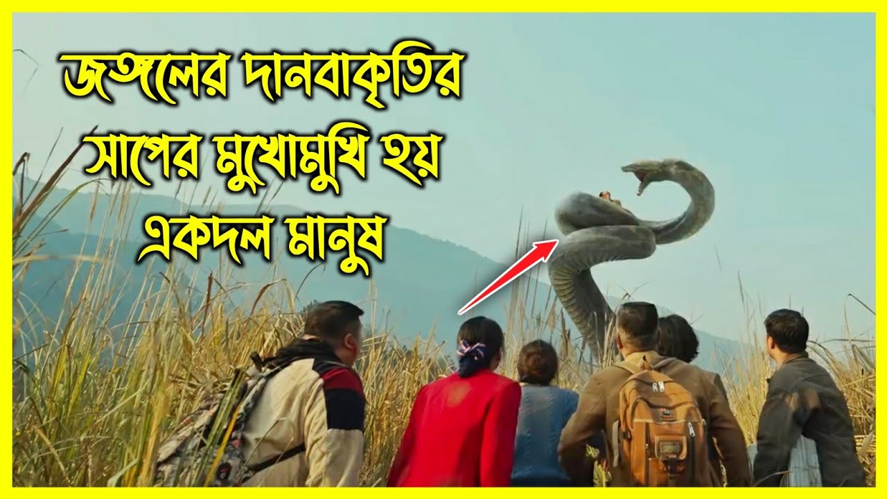 জঙ্গলের দানবাকৃতির সাপের মুখোমুখি হয় একদল মানুষ। ভয়ংকর সাপের মুভি