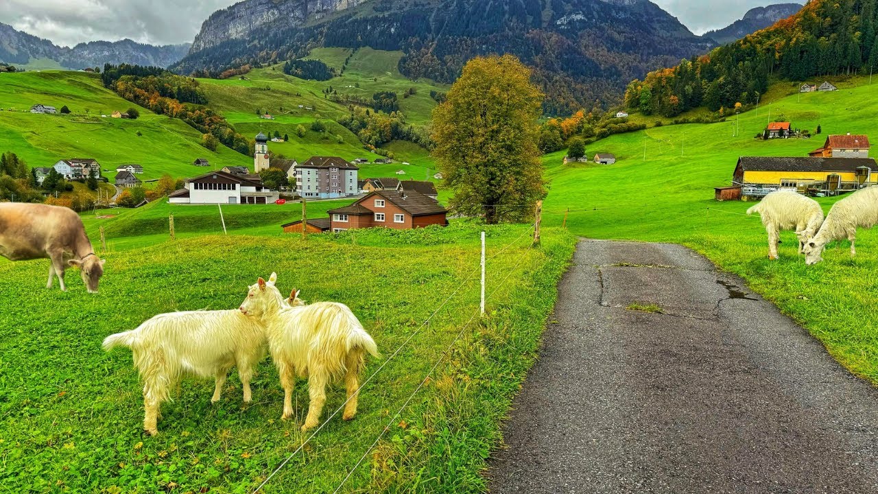 Switzerland's heaven -  Relaxing walk in Switzerland's most beautiful countryside