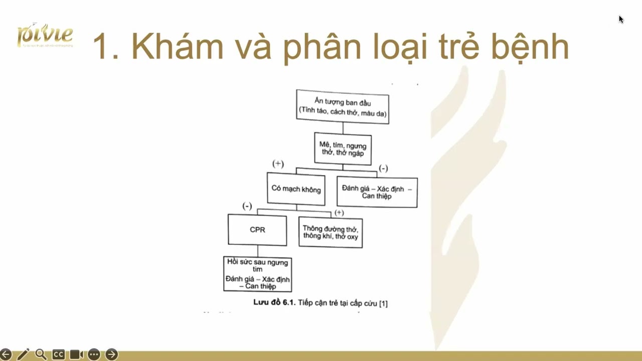 Học thử: Luyện thi BSNT Nhi khoa ĐH Y MIỀN NAM KV.01 Bài: Ôn tập Chương Suy hô hấp và cấp cứu