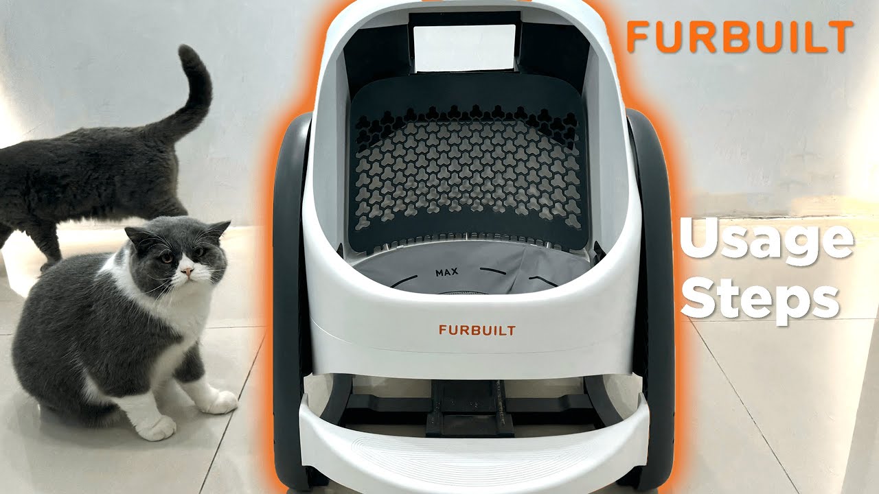 Catbula Pro in Action: The Ultimate Littber Box for Pet Lovers