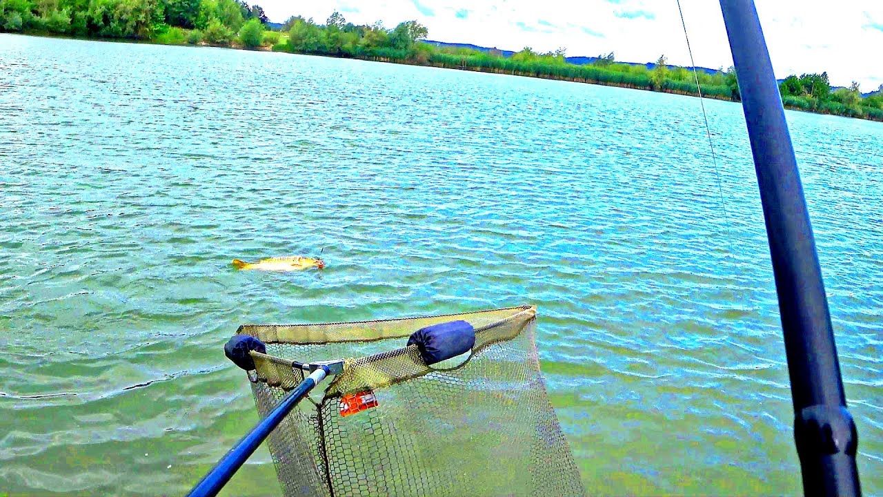 Eine Schwimmerin rettet meiner Karpfen