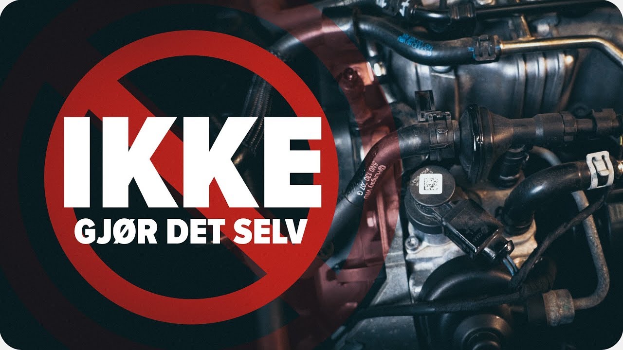 Topp 10 bildeler og enheter det ikke anbefales at du bytter selv | AUTODOC