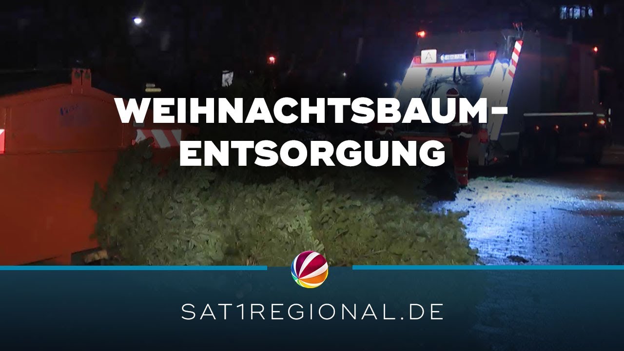 Weihnachtsbaumentsorgung in Hannover