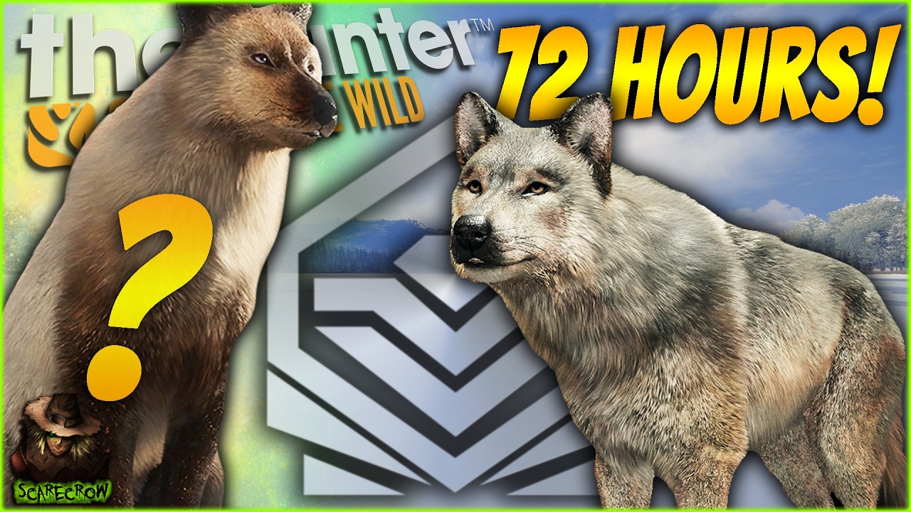 I Spent 72 Hours Hunting For The New Gray Wolf Furs & Got A Diamond! Call of the wild