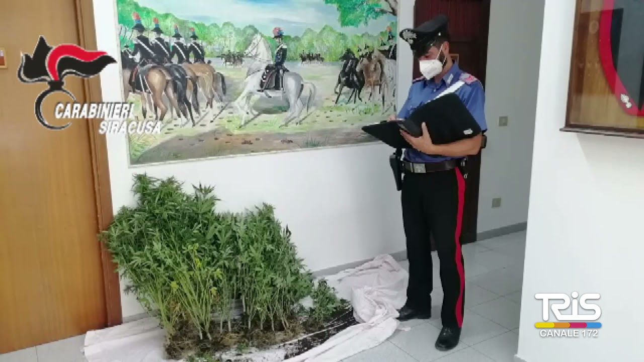 Sortino, coltivazione indoor di marijuana