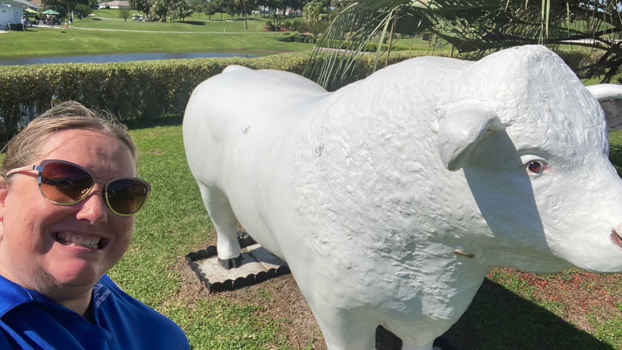 Ocala Palms 55+
