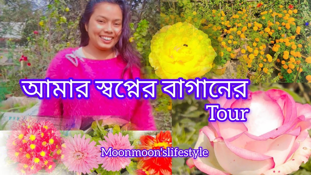আমার স্বপ্নের ছাদ বাগান 🌼🌹||Garden tour||like#SUBSCRIBE#youtube@Moonmoonslifestyle #shorts#vlogs