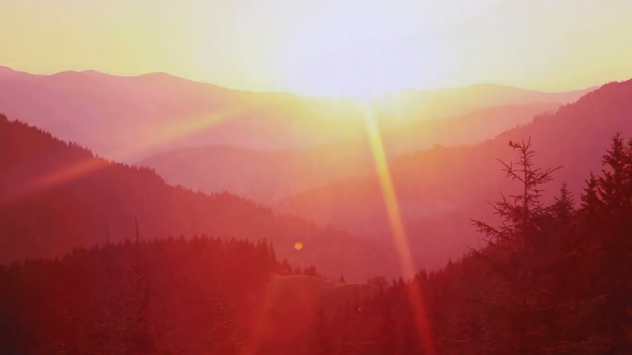 I.D.I.Q. - 'And Relax'