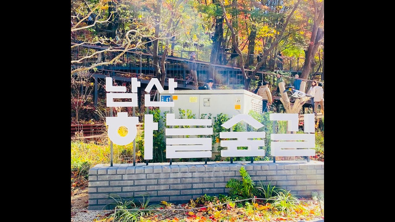 빨갛게 곱게 물든  '남산 하늘숲 길'