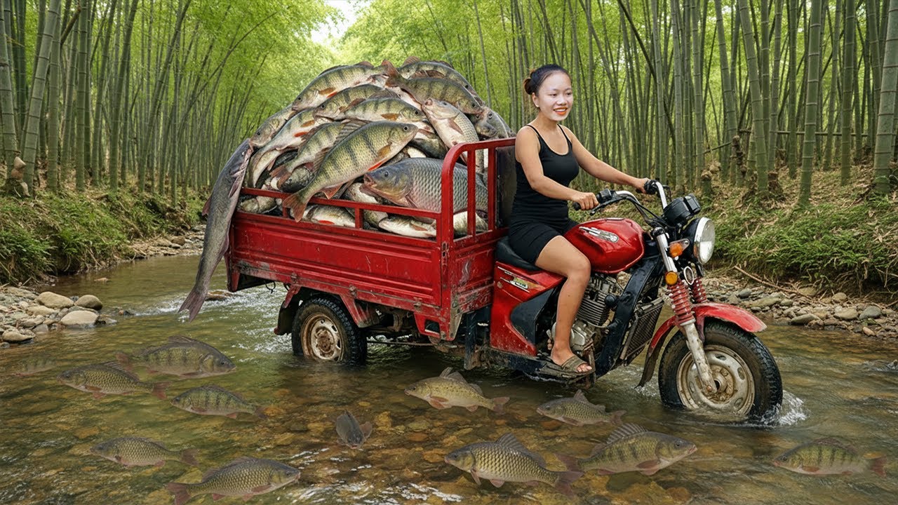 Harvesting Fish Catching Fresh River Fish with Simple Tools - Harvest DailyLife