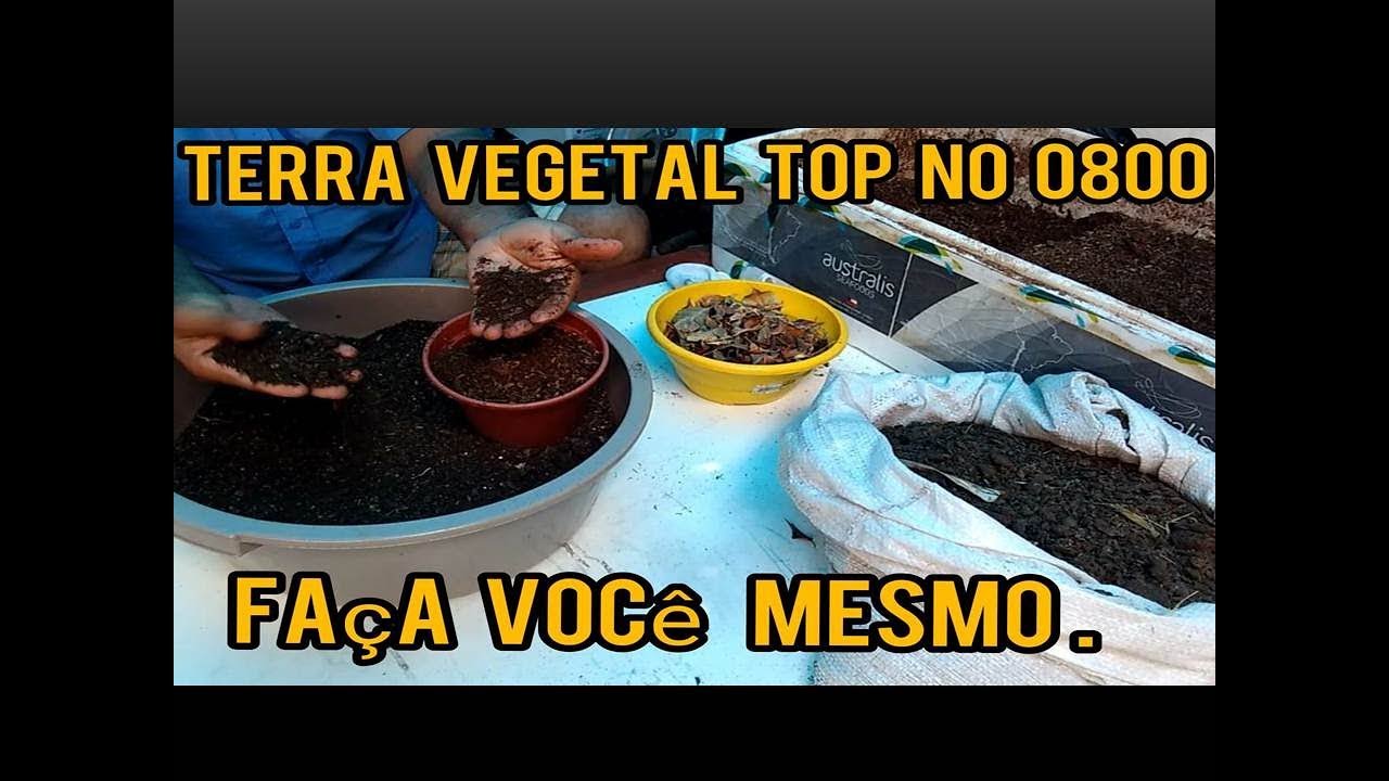 COMO FAZER TERRA VEGETAL CASEIRA TOP, SEM GASTAR DINHEIRO.