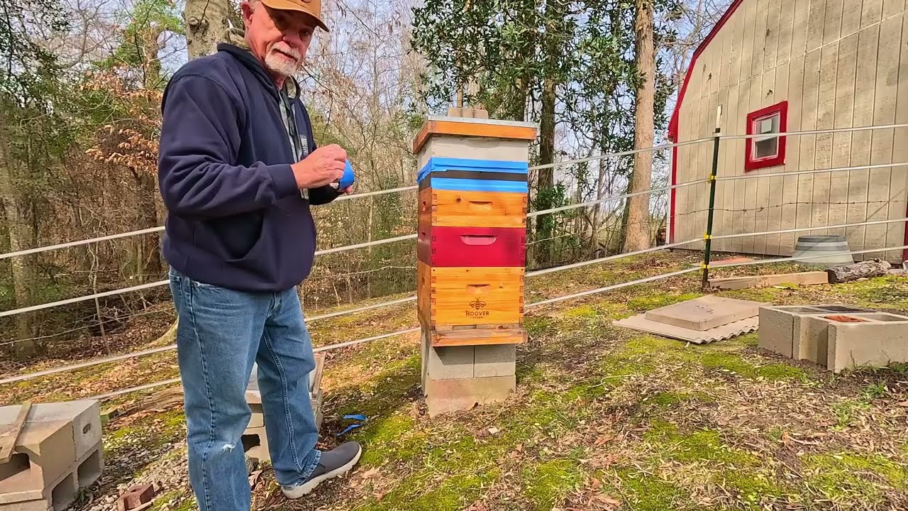 The Tape Trick Every Beekeeper Should Use Before a Freeze