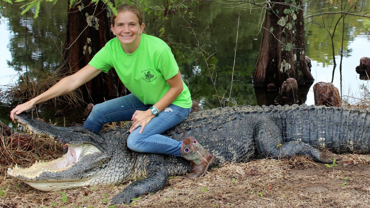 South Carolina Alligator hunting, Santee