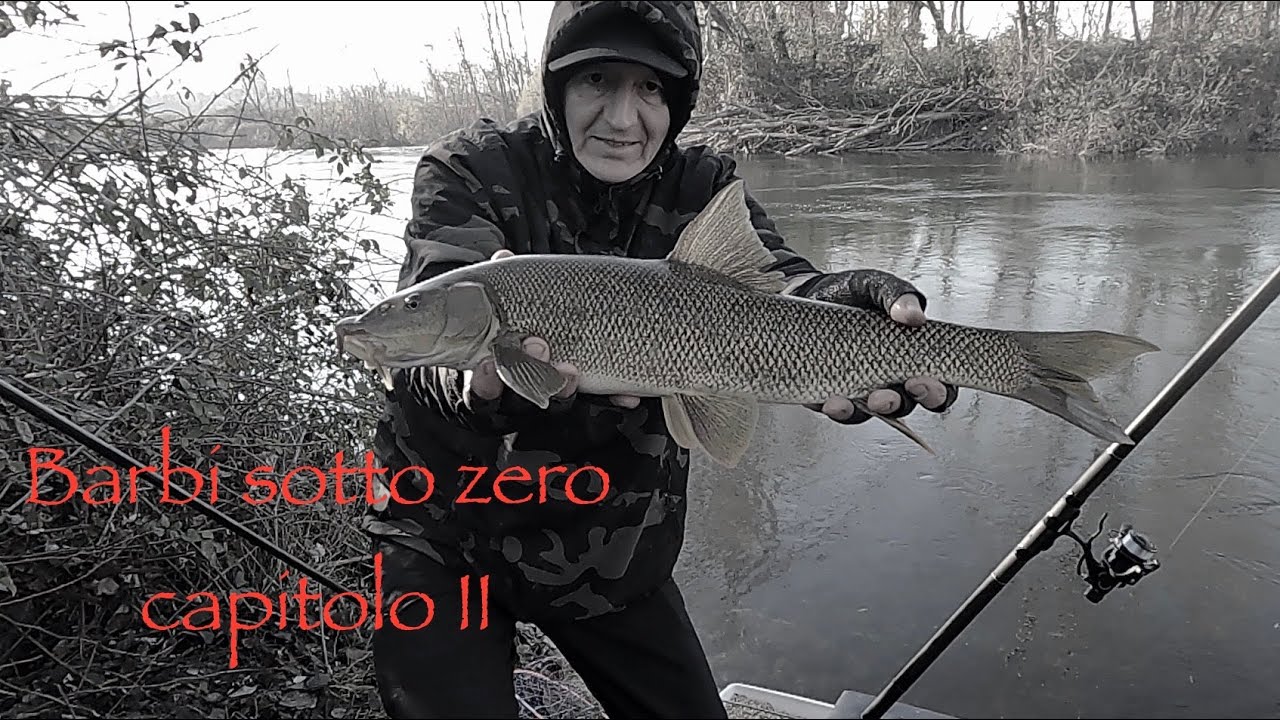Barbi Sotto Zero con la SAM Rolling Stones - Capitolo II