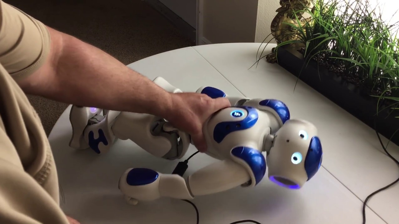 Nao V5 Humanoid Factory Reset With Usb Flasher