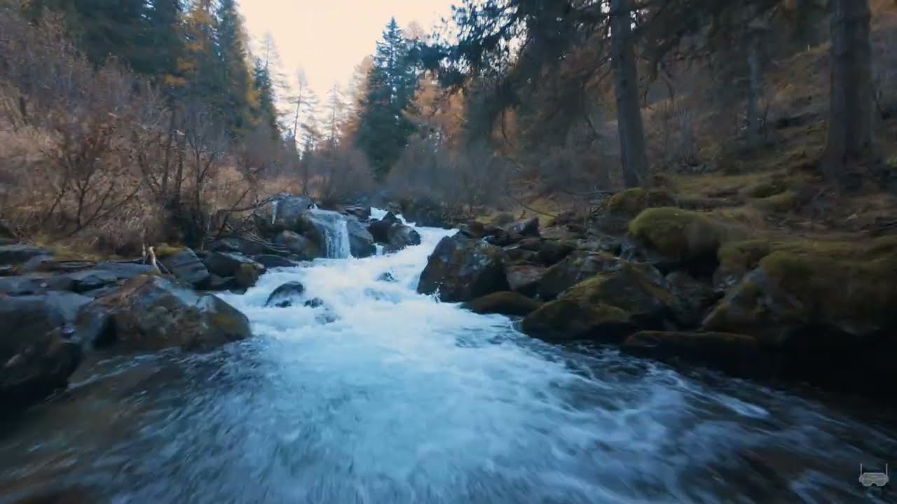 Autumnal Mountain River Flying || Pavo20 PRO
