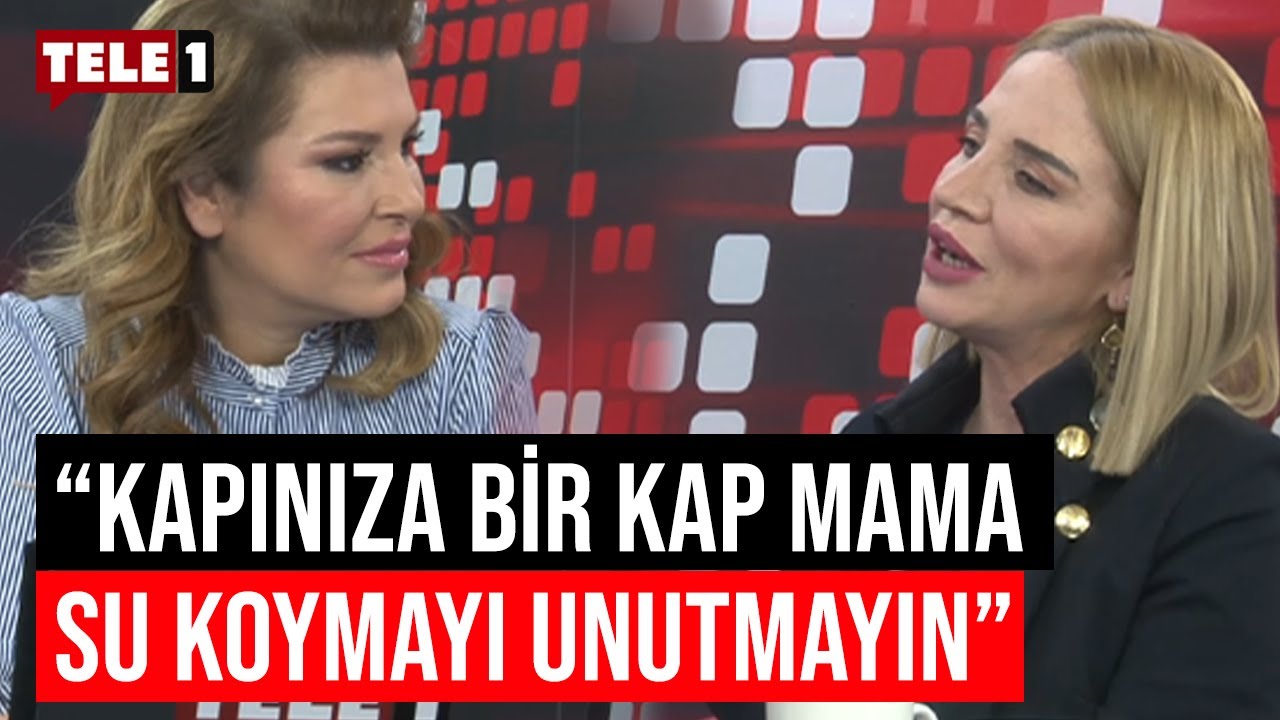 &Uuml;nl&uuml; Oyuncu Buket Dereoğlu TELE1'e konuk oldu | BAŞKA SOHBETLER