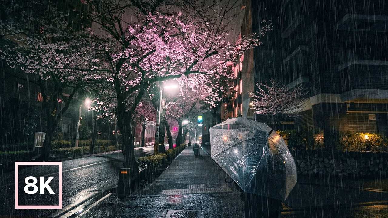 東京・雨の桜夜散歩 🌸 / 8K 60fps HDR / 癒しのピアノと雨音