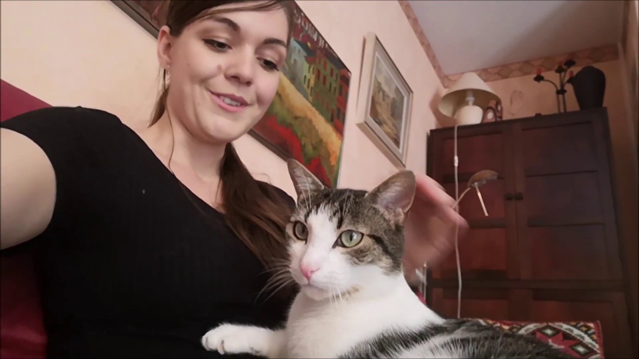 vlog, vis ma vie de catsitter