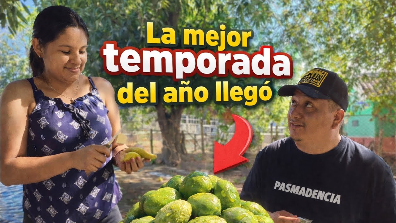 Llegó lo mejor del año 🤤🤤