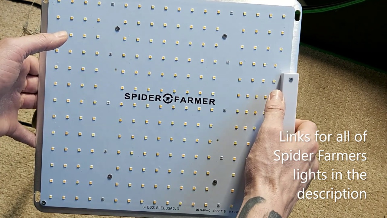Cannabis Grow, Spider Farmer SF1000, TNB Naturals