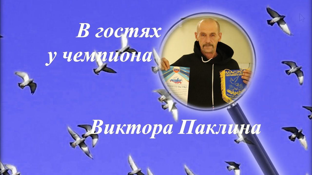 Паклин чемпион