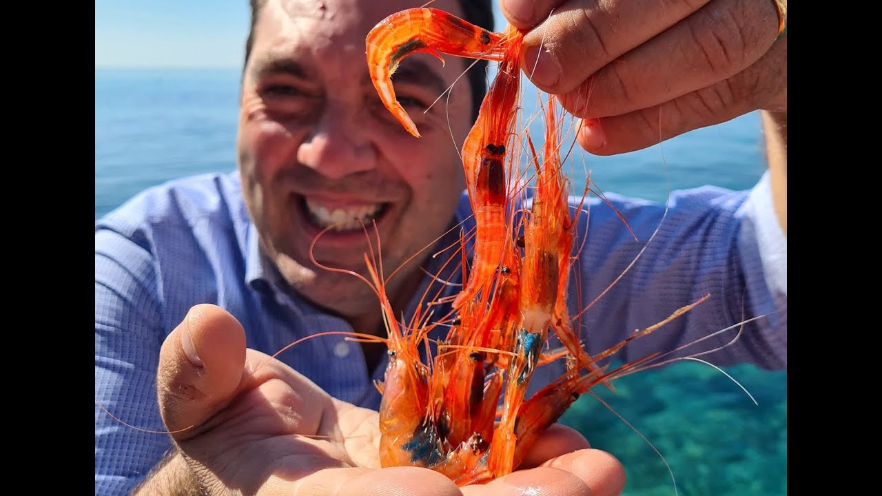 Il gamberetto di nassa di giunco - AMP Punta Campanella e isola di Capri