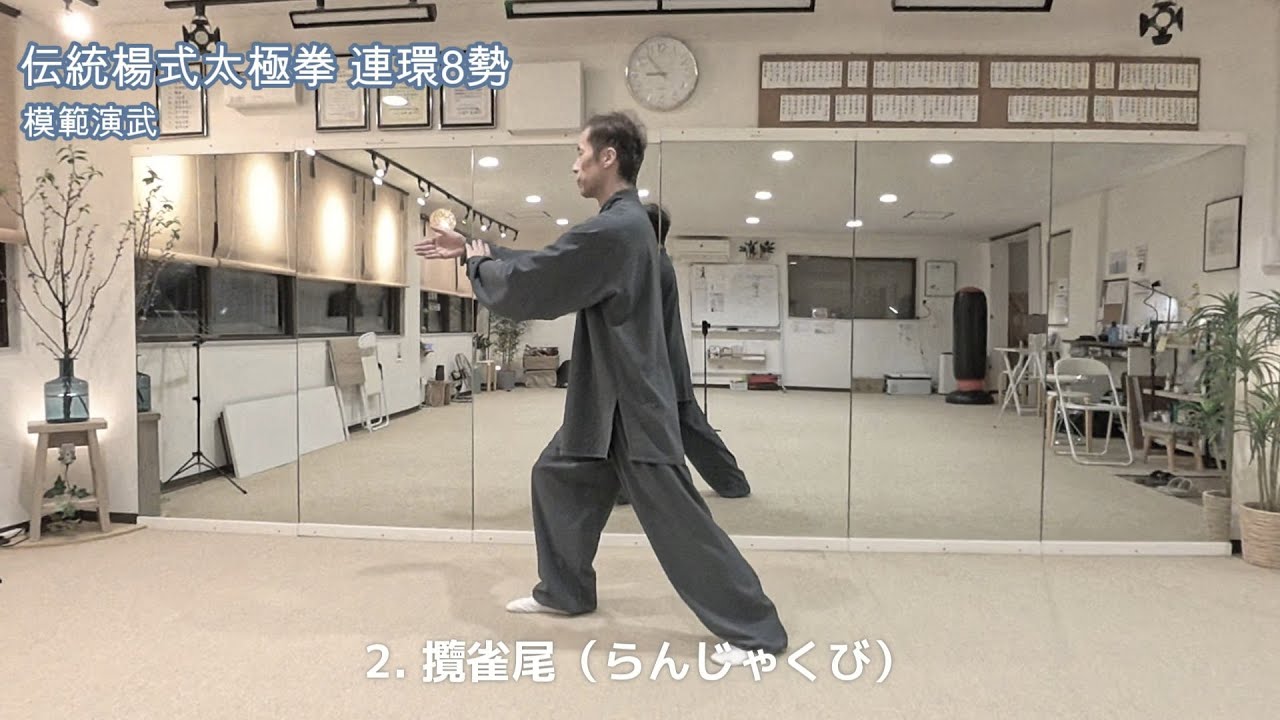 伝統楊式太極拳　連環8勢　模範演武
