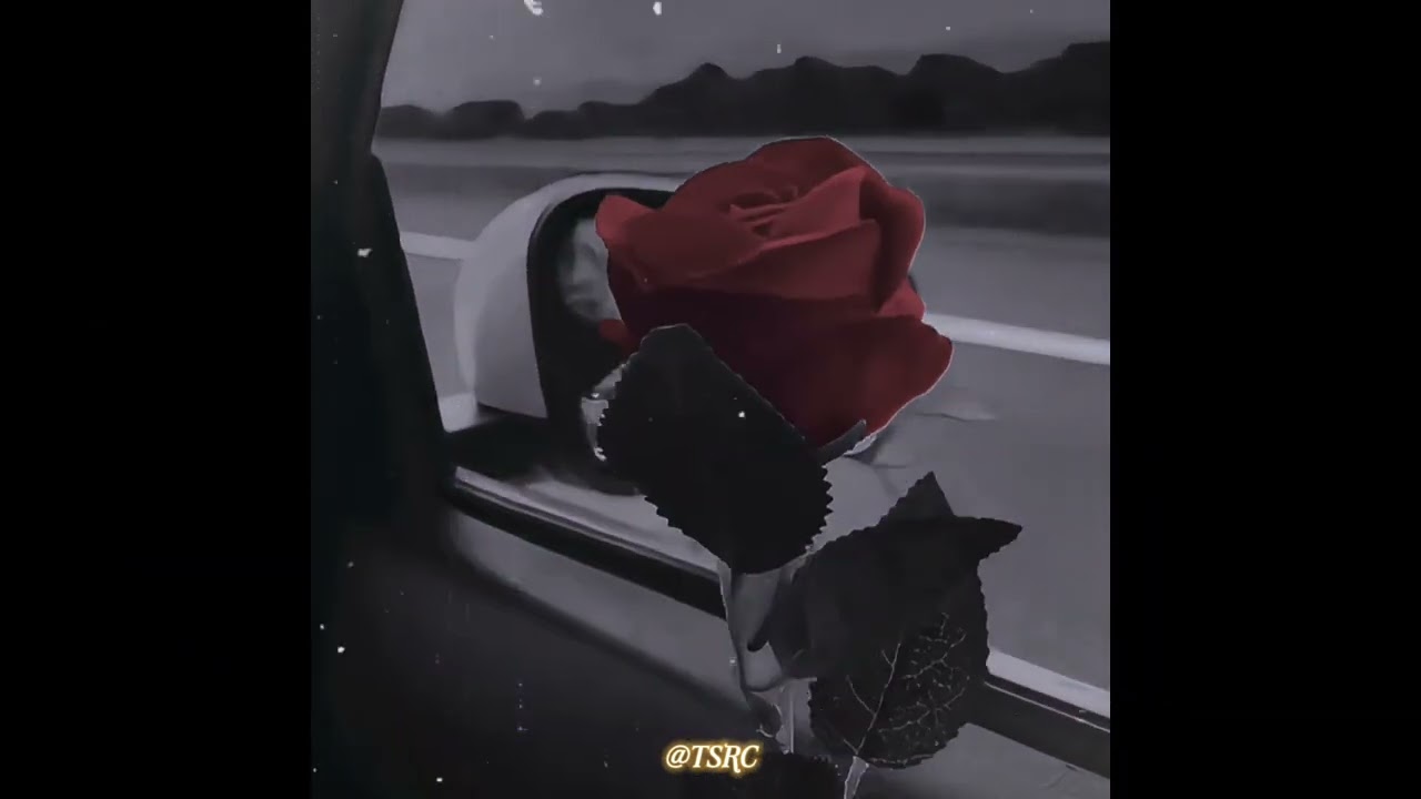 #Sachcharak Sad remix-បាច់ផ្កាបាត់ម្ចាស់💔🥀Bach pka bat m'jas😔-Remix by family TSRC team
