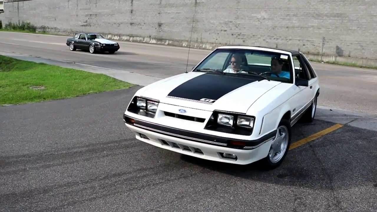 Fox body cruise 2016 SEFB.net 155 cars