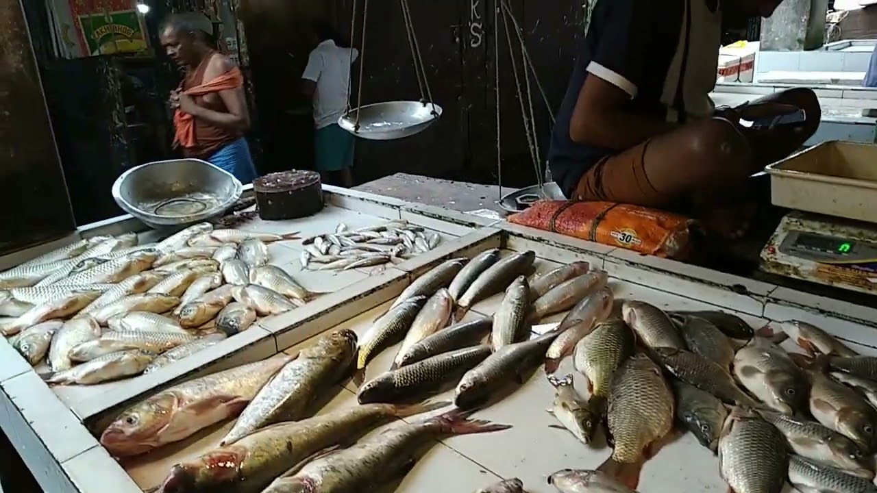 fish market Dibrugarh Assam 27 August 2023@Simpleparthamondal