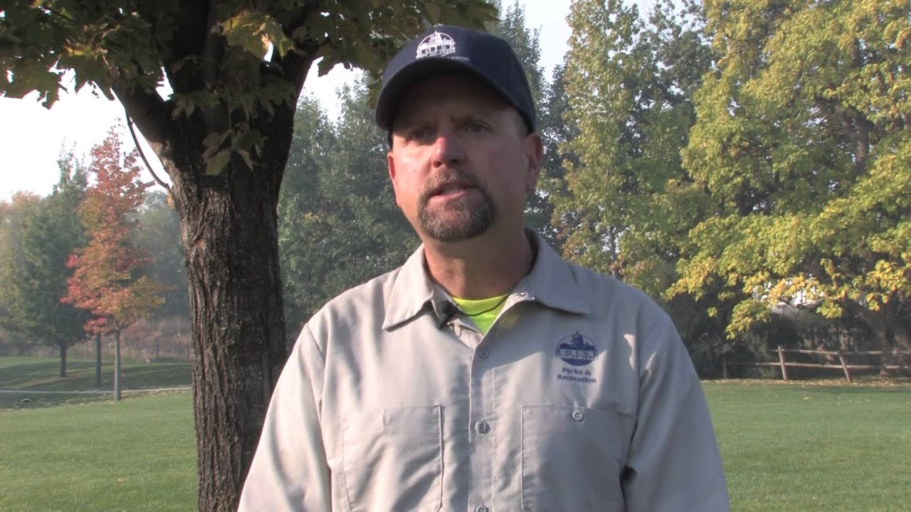 Planting your shade tree in Idaho's Treasure Valley
