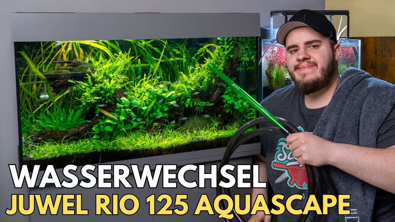 Wasserwechsel im Juwel Rio 125 Aquascape!