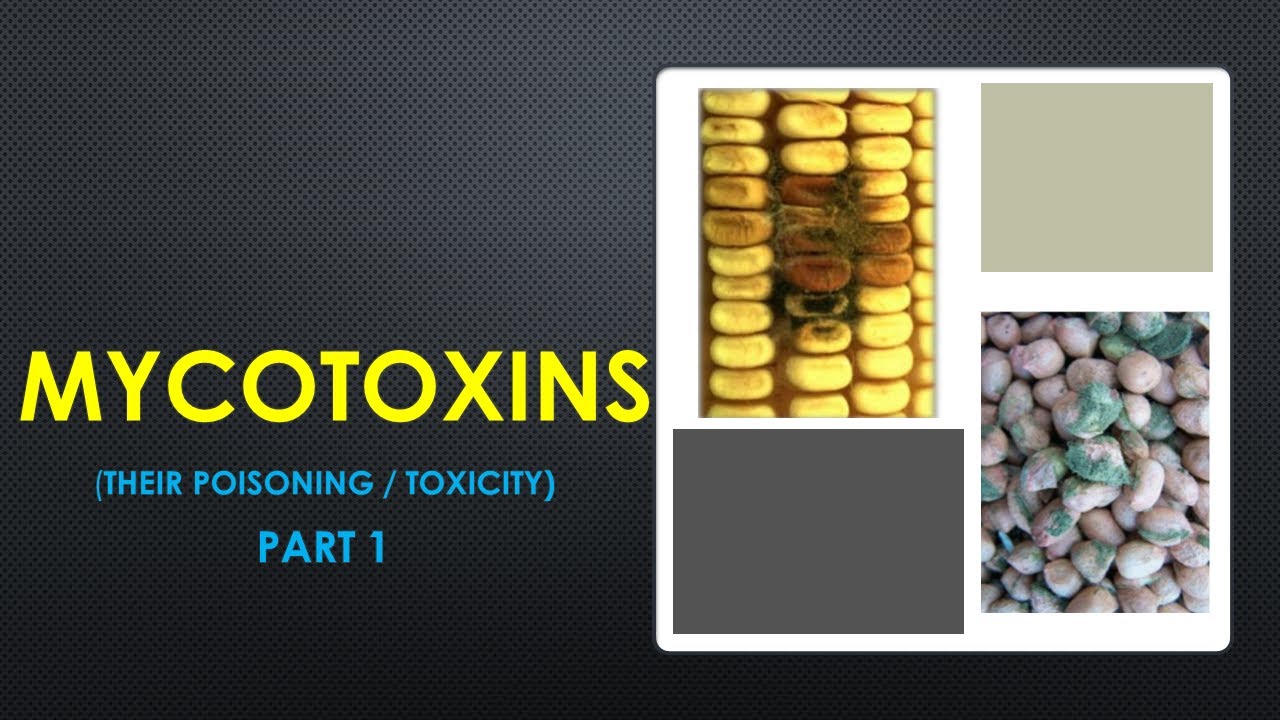 FOOD BORNE ILLNESSES Part 1 MYCOTOXICOSIS (mycotoxication)