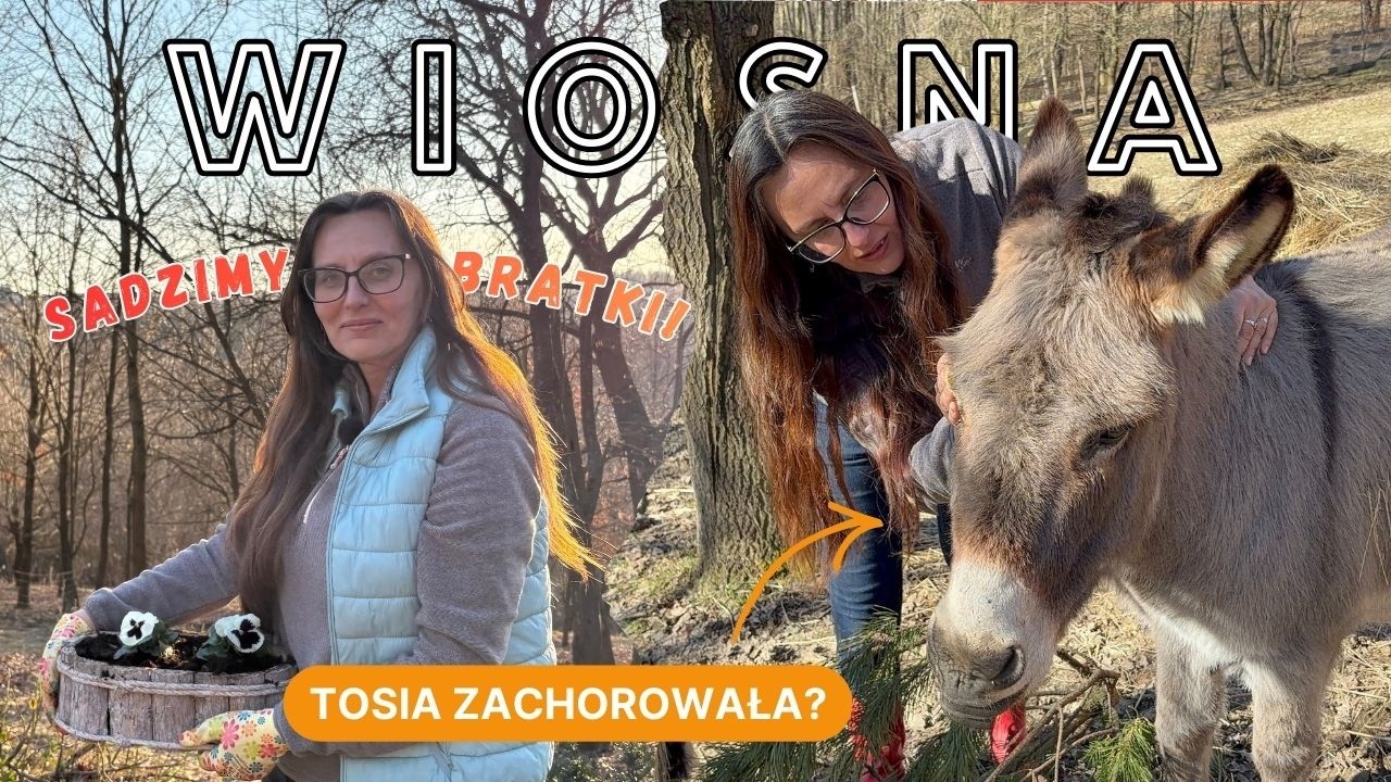 JAK NAPRAWDĘ WYGLĄDA WIOSNA NA FARMIE? ☀️