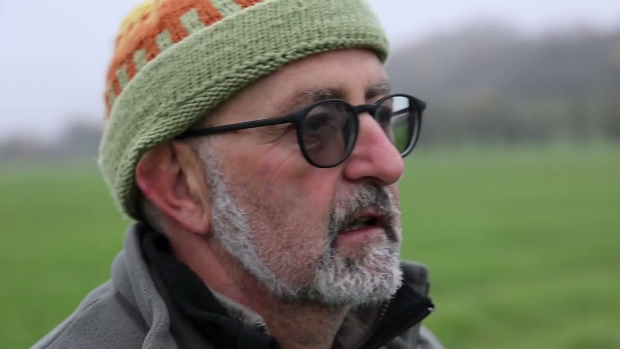 Les chiens d'arrêts allemands