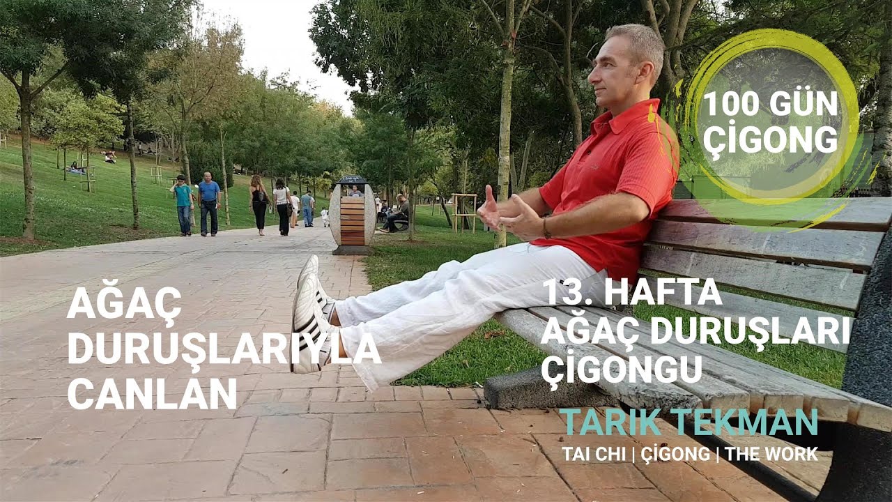 Ağaç Duruşlarıyla Canlan, 100 Gün Çigong, 13. Hafta Ağaç Duruşları Çigongu