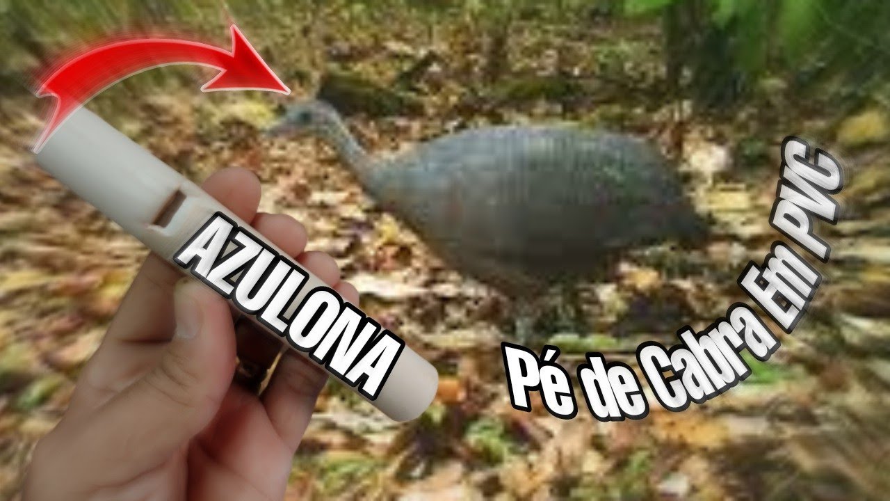 COMO FAZER CHAMA PÉ DE CABRA EM PVC PRA ATRAIR MACUCO
