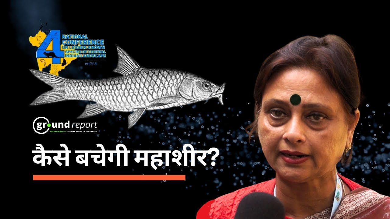 Mahseer Fish: India's Underwater Tiger Facing Extinction | Dr. Shriparna Saxena
