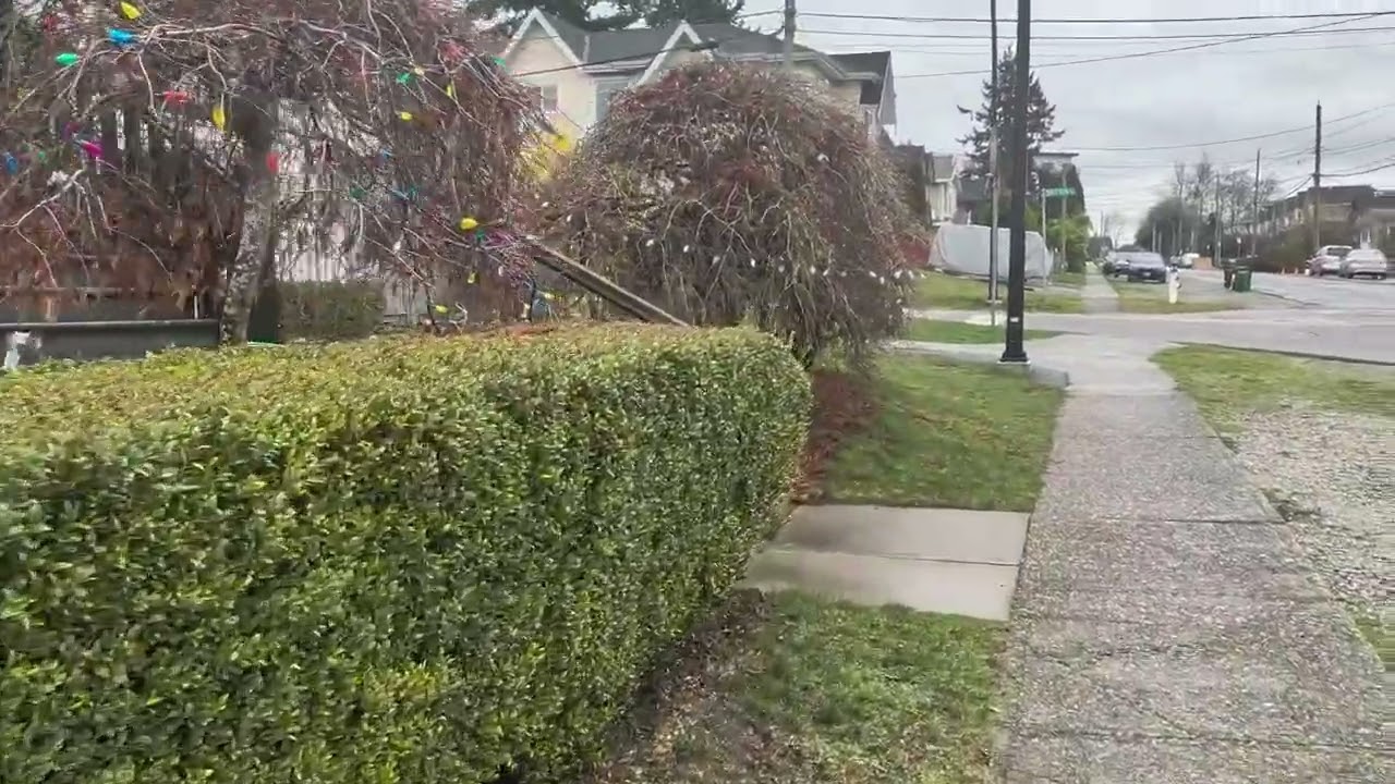 Let's go for walk .. 🌧️☔ rain 😁#canada #food #viral #recipe #trending #shorts #youtubeshorts #video 