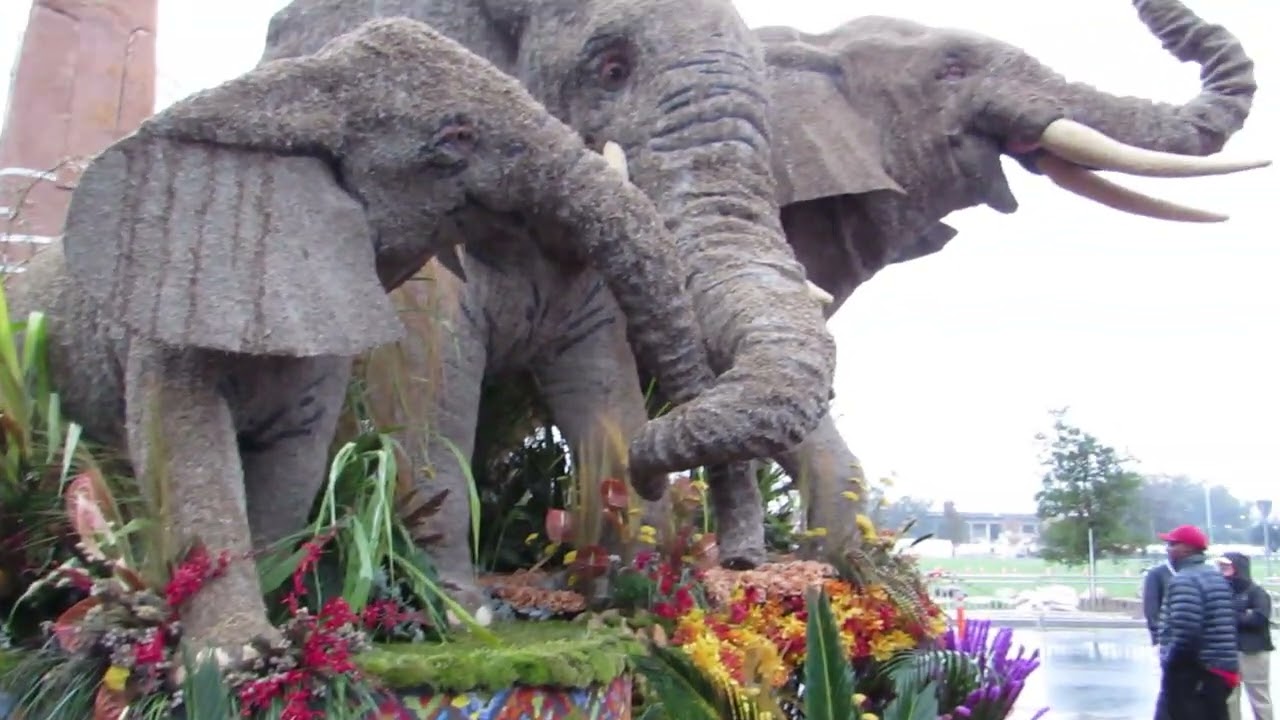 2026 Rose Parade Float San Diego Zoo Judging