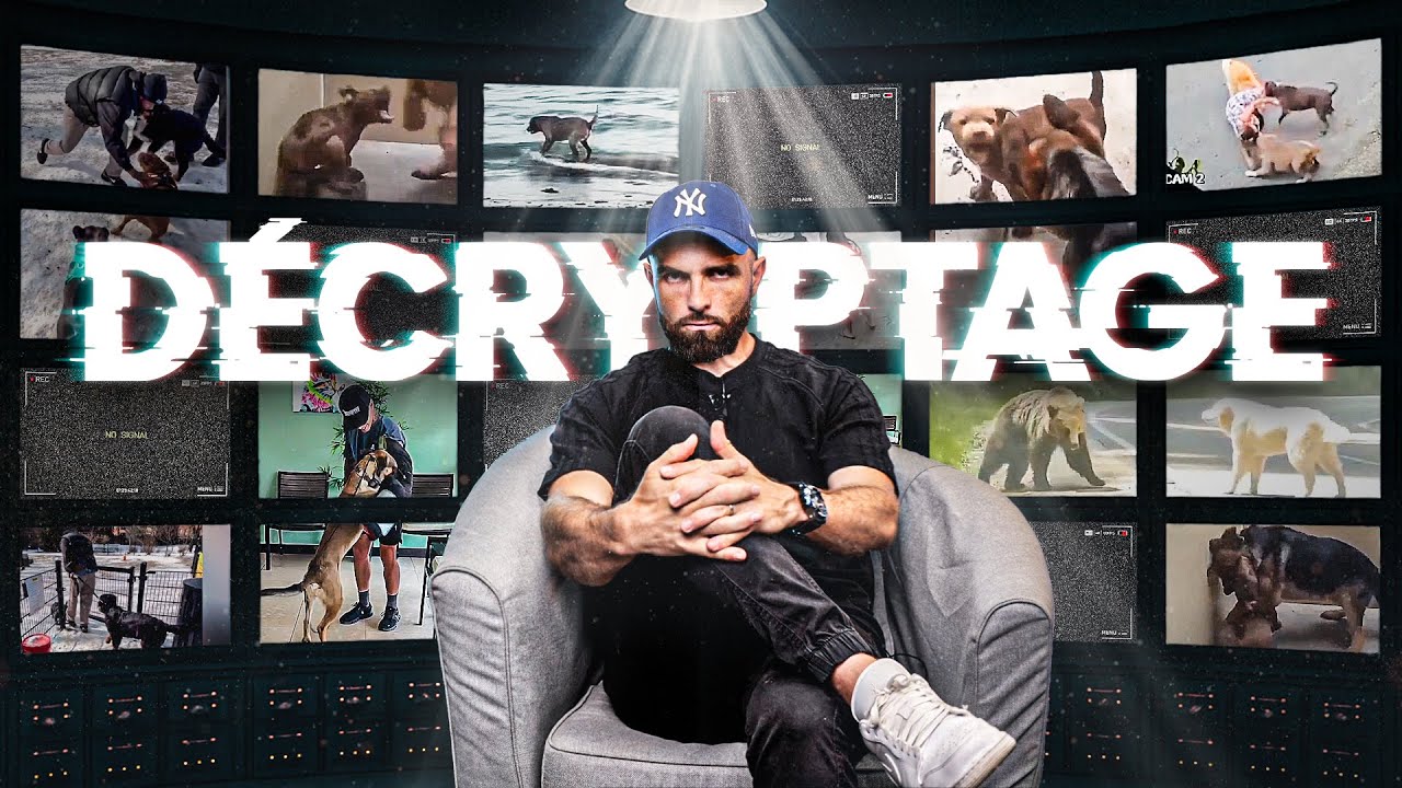 Tony DÉCRYPTE les CHIENS d'INTERNET ! - 9