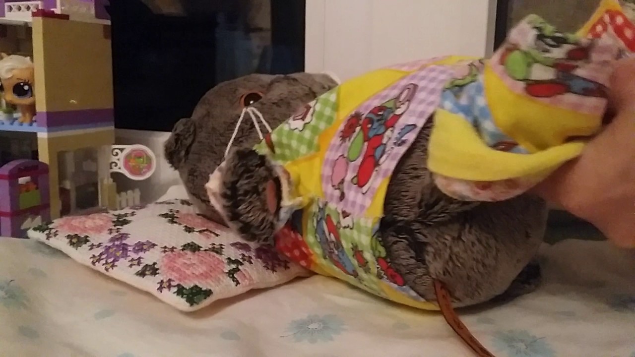 Что нужно для басика в первые дни