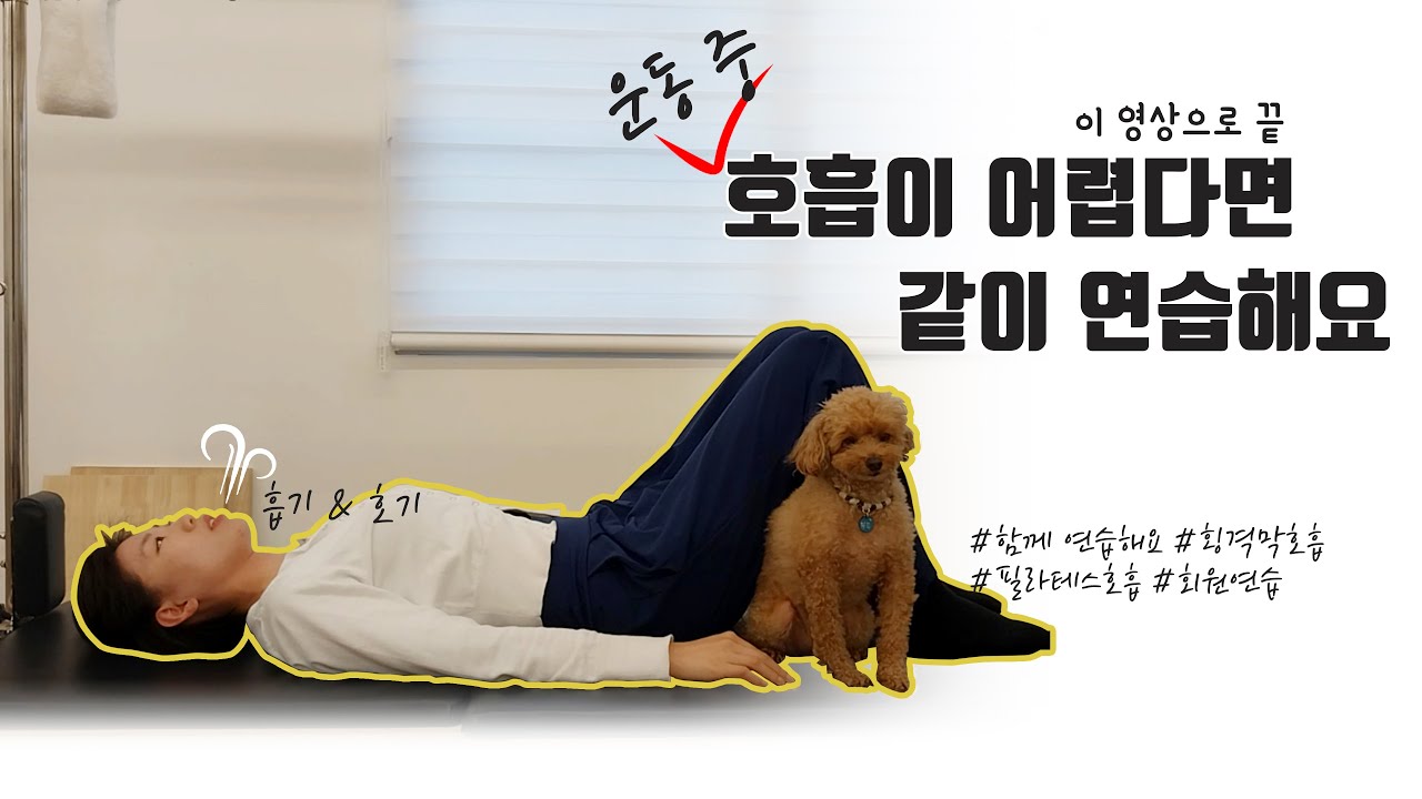 회원용) 횡격막호흡, 필라테스호흡 함께 연습해요!