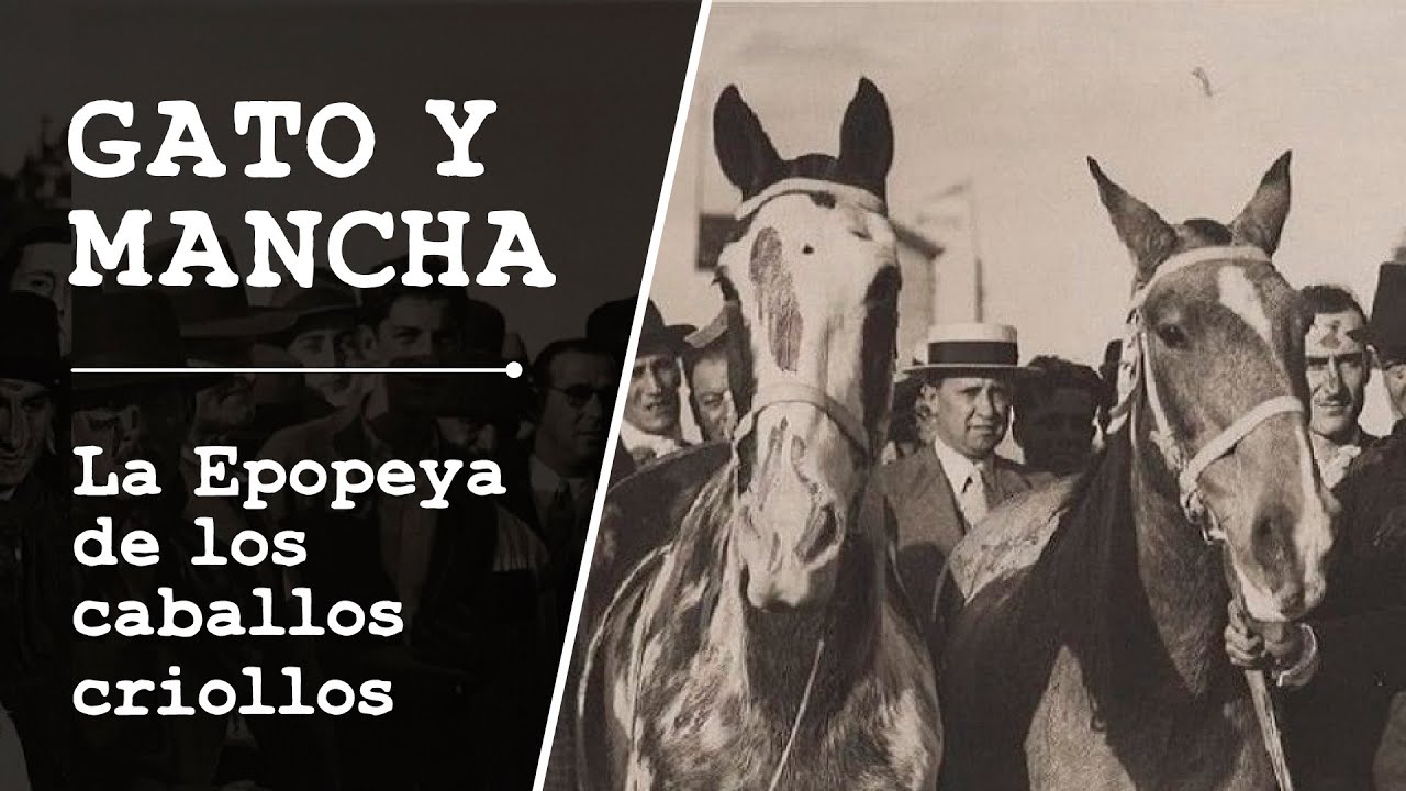 GATO Y MANCHA - LA EPOPEYA DE LOS CABALLOS CRIOLLOS