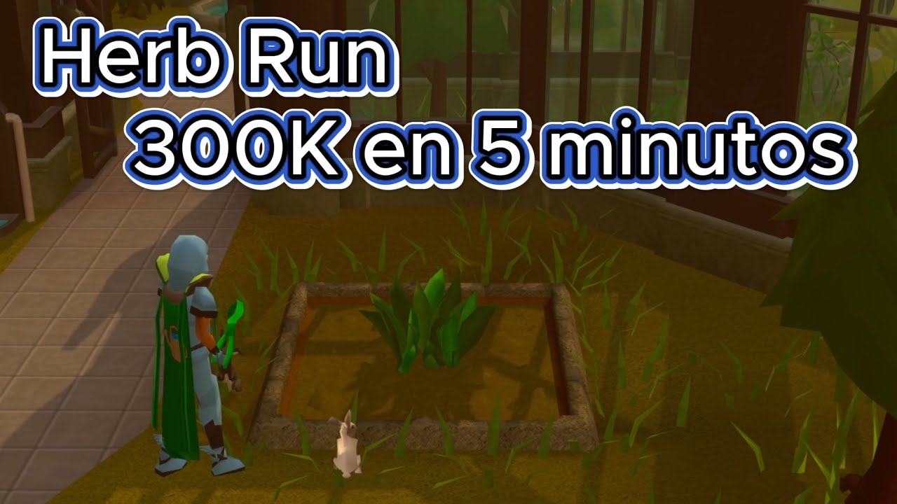Herb Run: 300K en 5 Minutos | Método Seguro y Constante en OSRS