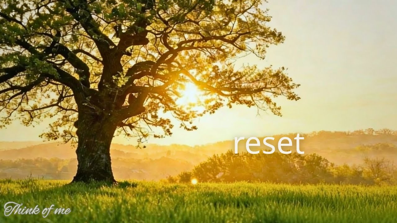 Soft Morning Reset 🌤️ Calm Guitar BGM to Start Fresh & Clear