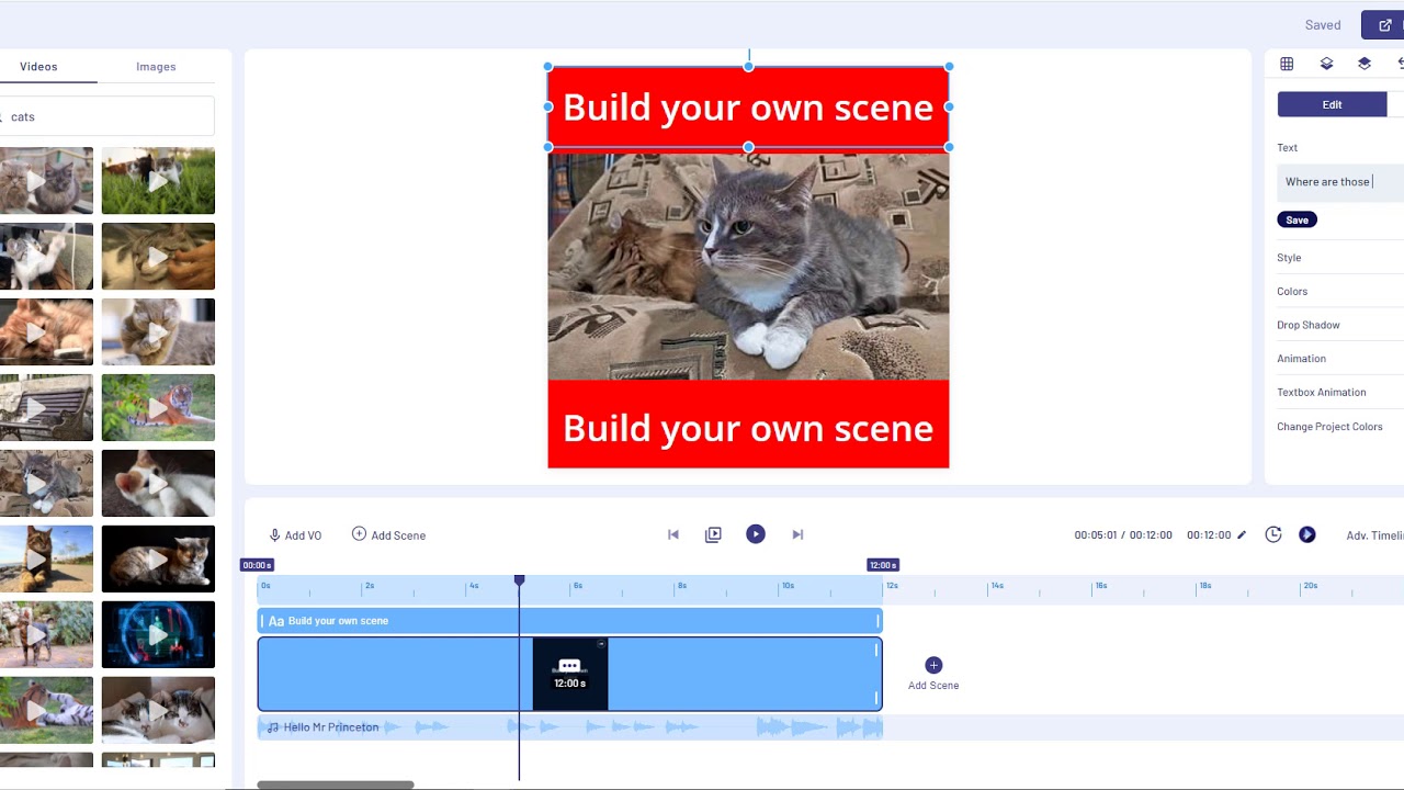 meme style video with text bars top and bottom